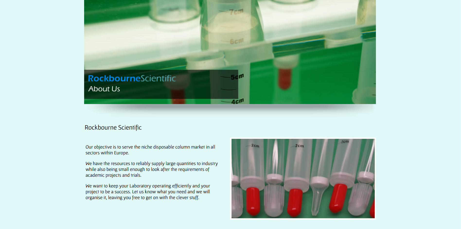 Sample of the design work on the Rockbourne Scientfic website